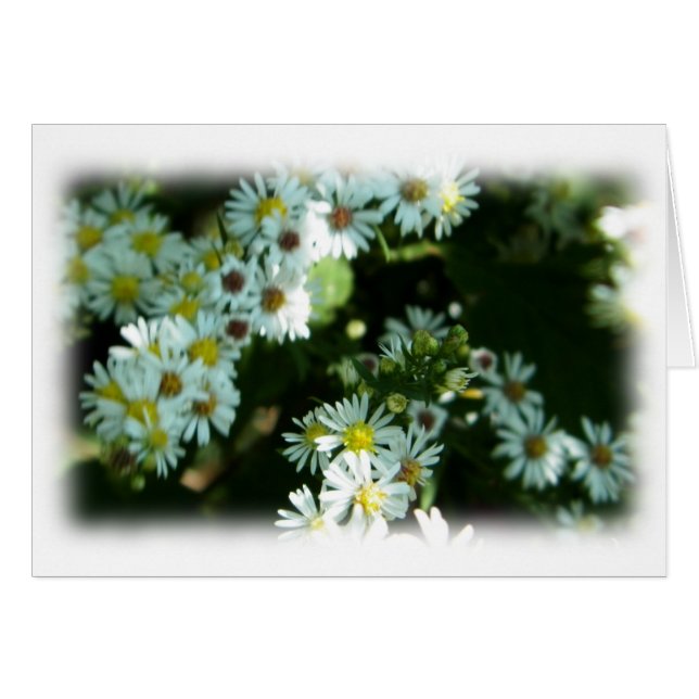 Carte de note blanche Fleur Fleur Daisy Wild (Devant Horizontal)
