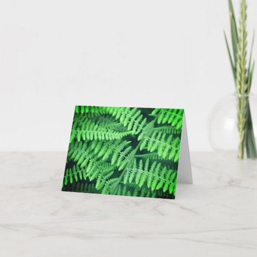 Carte de note blanche Green Ferns Nature (Devant)