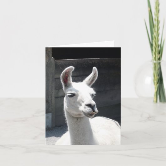 Carte de note blanche Llama souriante (Devant)
