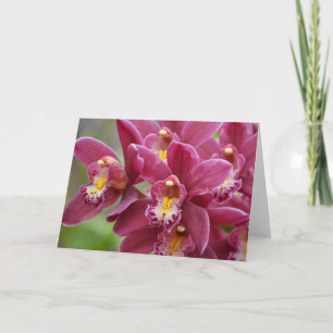 Carte de note blanche Magenta Orchidées
