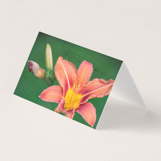 Carte de note blanche orange Lily (Front)
