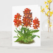 Carte de note blanche orangée rouge orchidée (Fleur jaune)