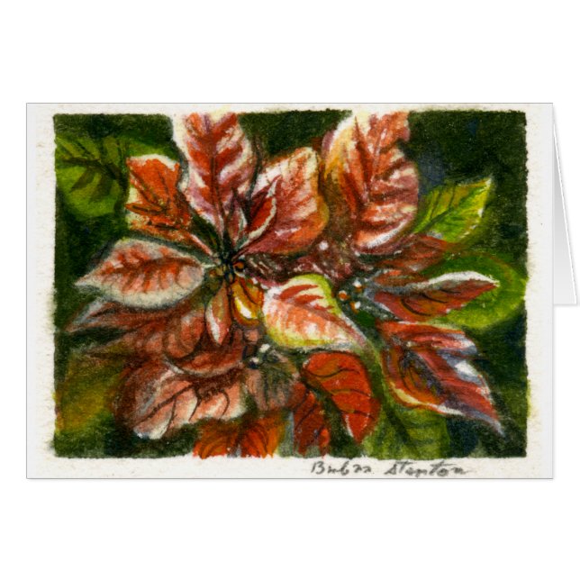Carte de note blanche "Poinsettias" (Devant horizontal)