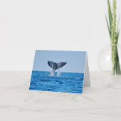 Carte de note blanche pour baleine (Devant)