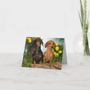 Carte de note blanche pour Chien Chien Chien Chien