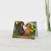Carte de note blanche pour Chien Chien Chien Chien (Devant)