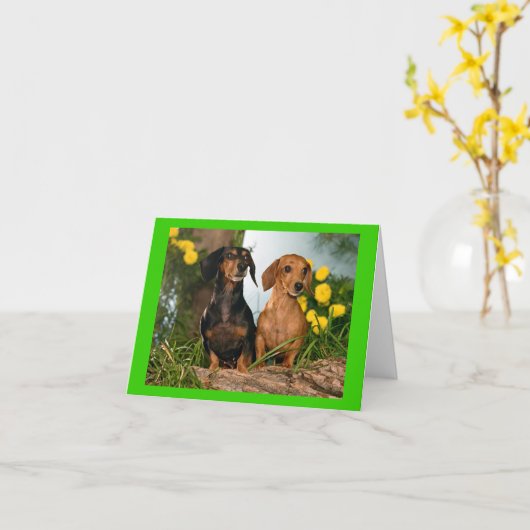 Carte de note blanche pour Chien Chien Chien Chien (Fleur jaune)