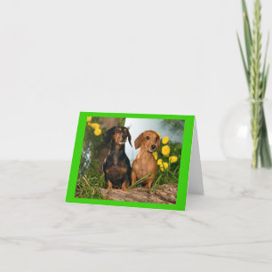 Carte de note blanche pour Chien Chien Chien Chien