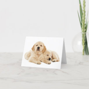 Carte de note blanche pour Chien Chien Chien Chien