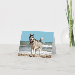 Carte de note blanche pour Chien Chien Chien Chien