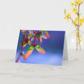 Carte de note blanche pour hélicoptères Red Maple (Fleur jaune)