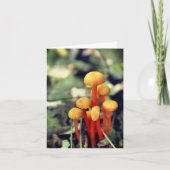 Carte de note blanche pour les champignons orange (Devant)