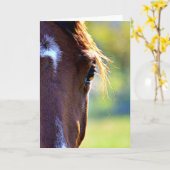 Carte de note blanche pour l'oeil du cheval (Fleur jaune)