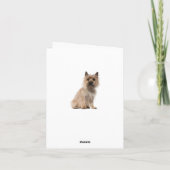 Carte de note blanche pour Merci de Chien Chien Ch (Dos)