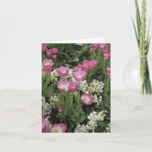 Carte de note blanche pour tulipe rose