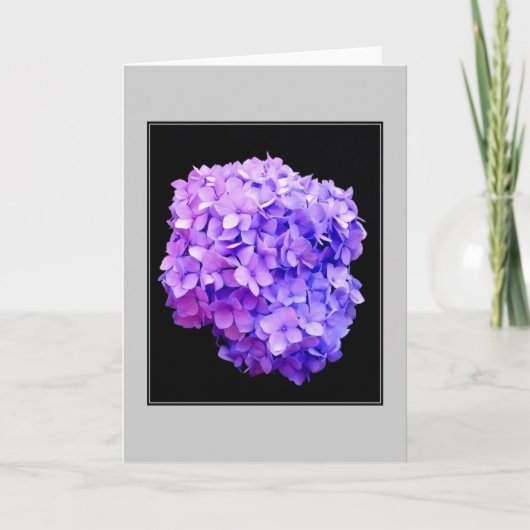 Carte de note blanche 'Purple Hydrangea Bloom' (Devant)