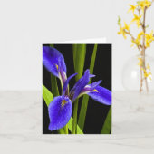 Carte de note bleue de blanc d'iris (Fleur jaune)