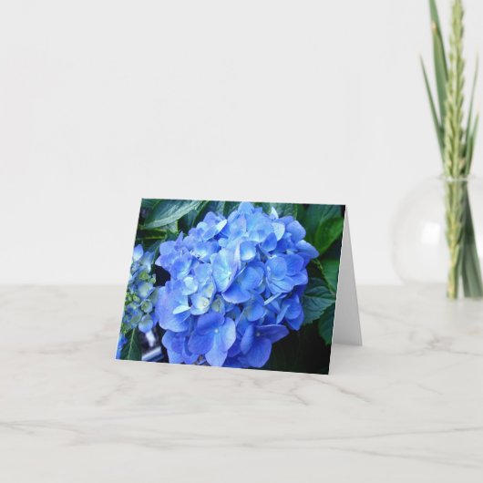 Carte de note Blue Hydrangea (Devant)