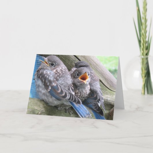 Carte de note Bluebird (Devant)
