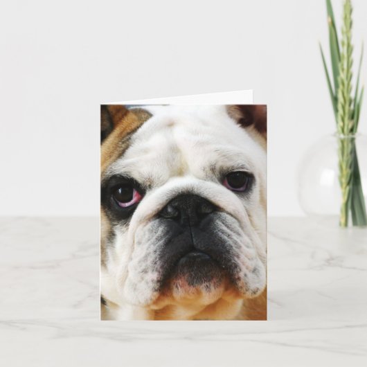 Carte de note Bulldog (Devant)