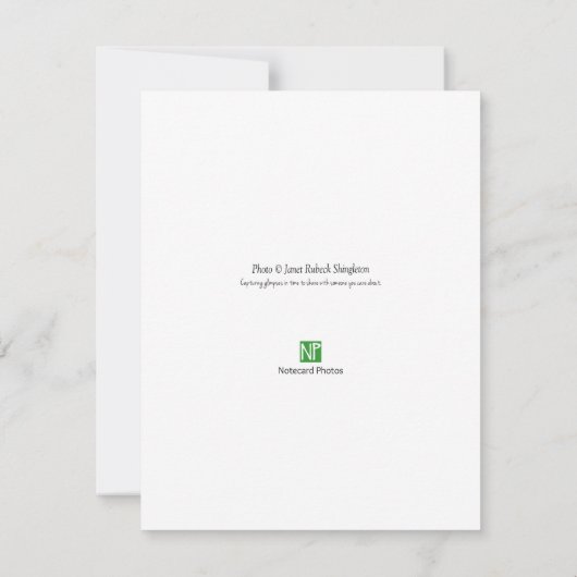 Carte de note Cairn Stacked Rocks (Dos)