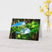 Carte de note Calla Lilies (Fleur jaune)