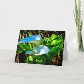 Carte de note Calla Lilies