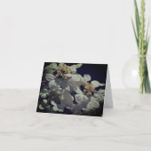 Carte de note Casquette en dentelle Hydrangea Flow (Devant)