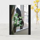 Carte de note Cat at the Window (Fleur jaune)