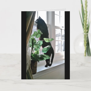 Carte de note Cat at the Window
