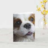 Carte de note cavalière du Roi Charles Blank de (Fleur jaune)