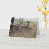 Carte de note - cerf commun - paires curieuses (Fleur jaune)