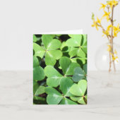 Carte de note chanceuse de trèfle (Fleur jaune)