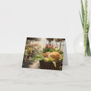 Carte de note Chat faisant la sieste dans un panie