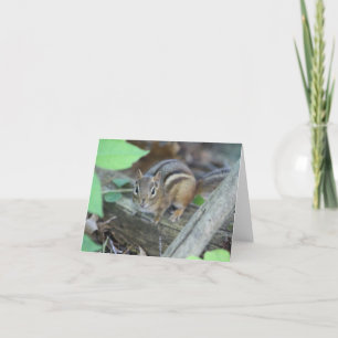 Carte de note Chipmunk