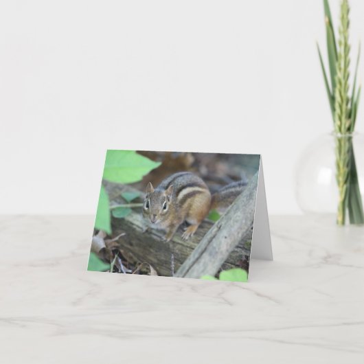 Carte de note Chipmunk (Devant)