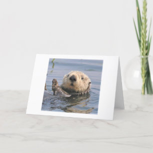 Carte de note climatique Nature