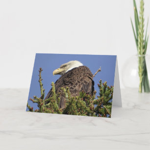 Carte de note climatique Nature