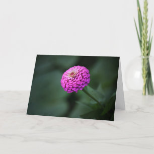 Carte de note contemplative de Zinnia
