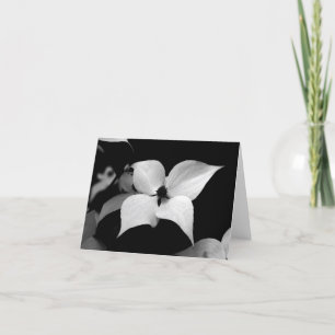 Carte de note - cornouiller de B/W