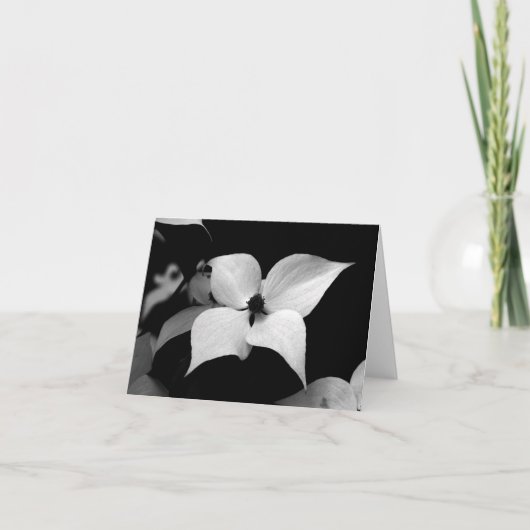 Carte de note - cornouiller de B/W (Devant)