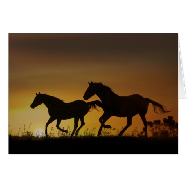 Carte de note couché de soleil pour chevaux de ran (Devant horizontal)