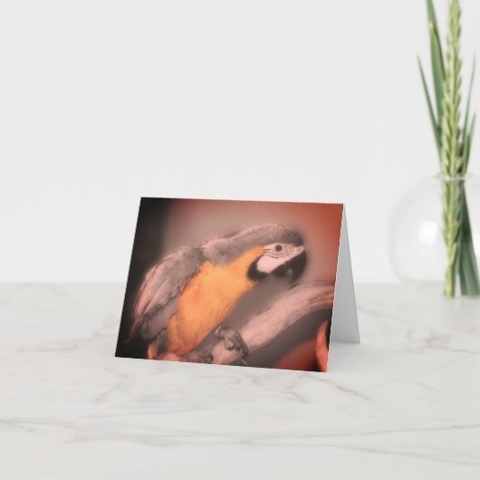 Carte de note couleur partielle noir blanc de perr (Devant)