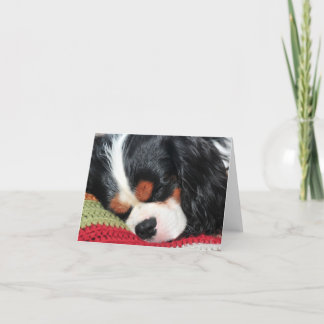 Carte de note couleur vierge Cavalier King Charles