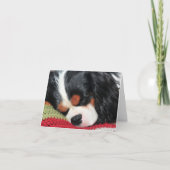 Carte de note couleur vierge Cavalier King Charles (Devant)
