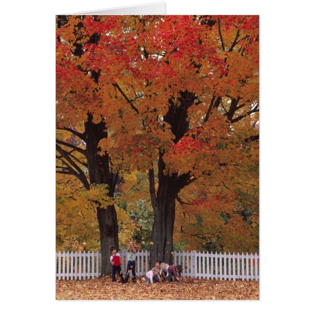 Carte de note Couleurs d'automne (Devant)