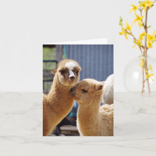 Carte de note Cute Alpacas (Fleur jaune)