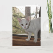 Carte de note Cute Kitten (Devant)