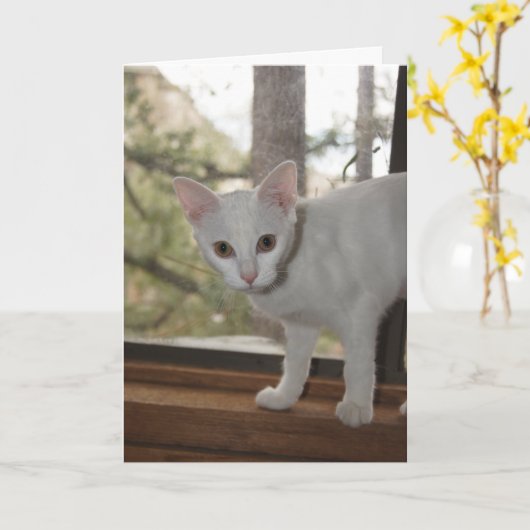 Carte de note Cute Kitten (Fleur jaune)