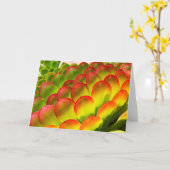 Carte de note d'Aeonium par Debra Lee Baldwin (Fleur jaune)